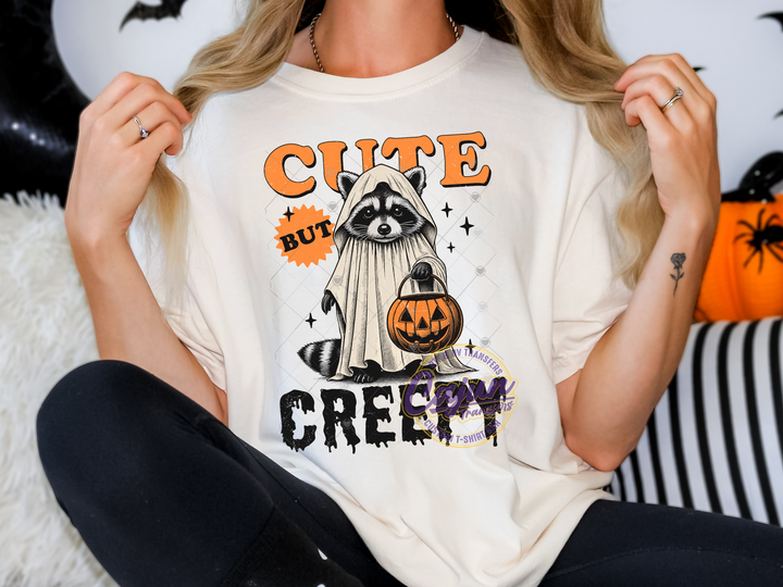 Cute but Creepy Raccoon