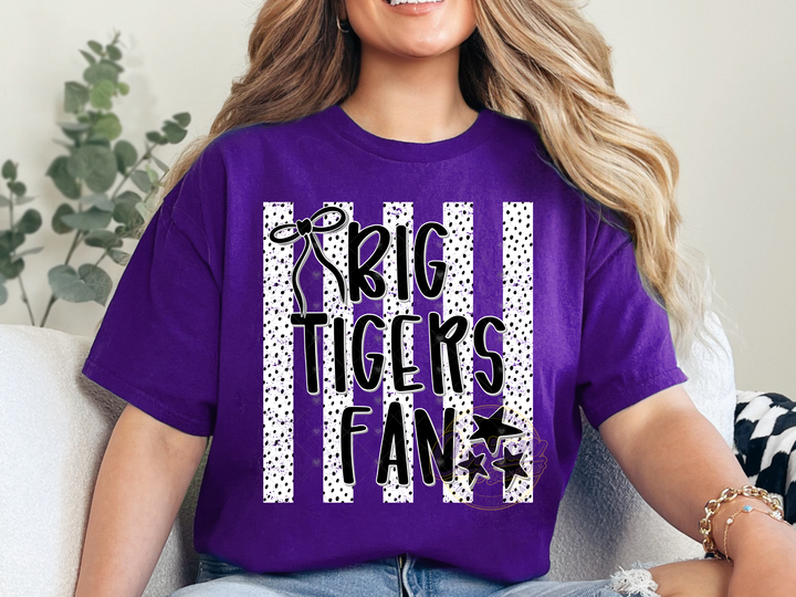 Big Tigers Fan