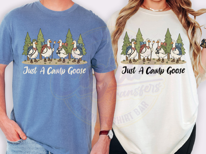 Just a Camp Goose