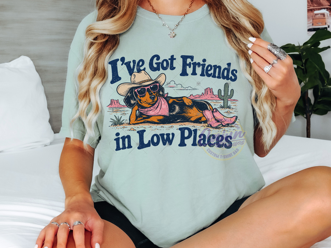 I've got Friends in Low Places