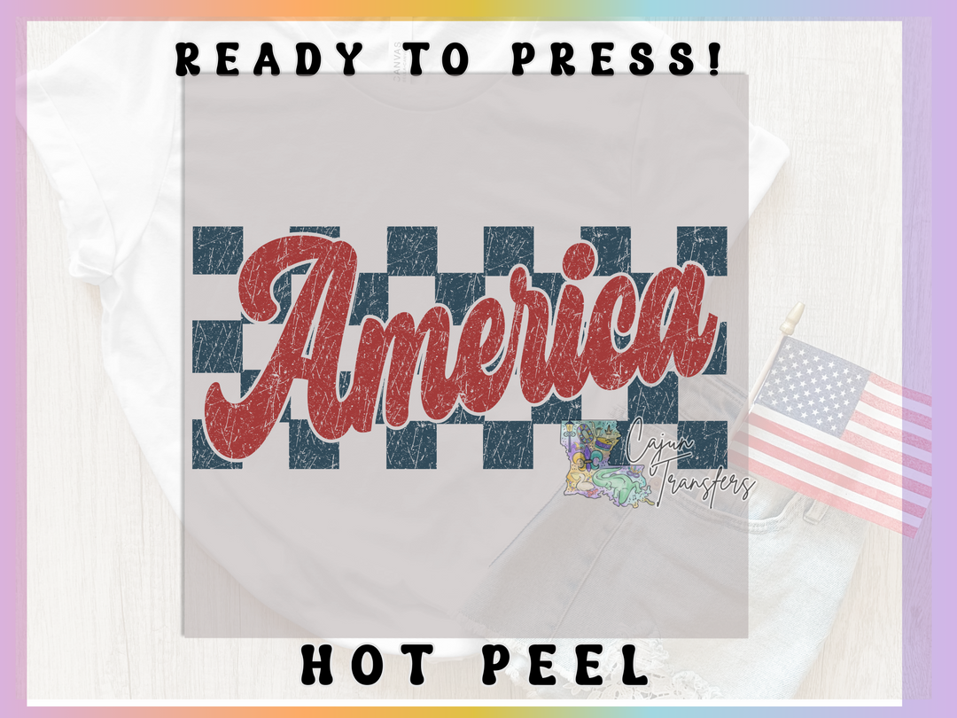 a t - shirt with the word america on it