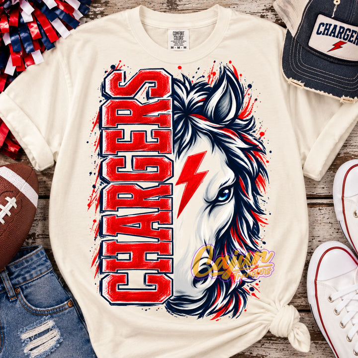 Chargers