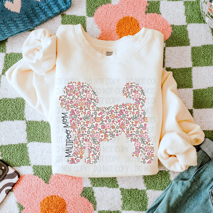 Maltipoo Mom