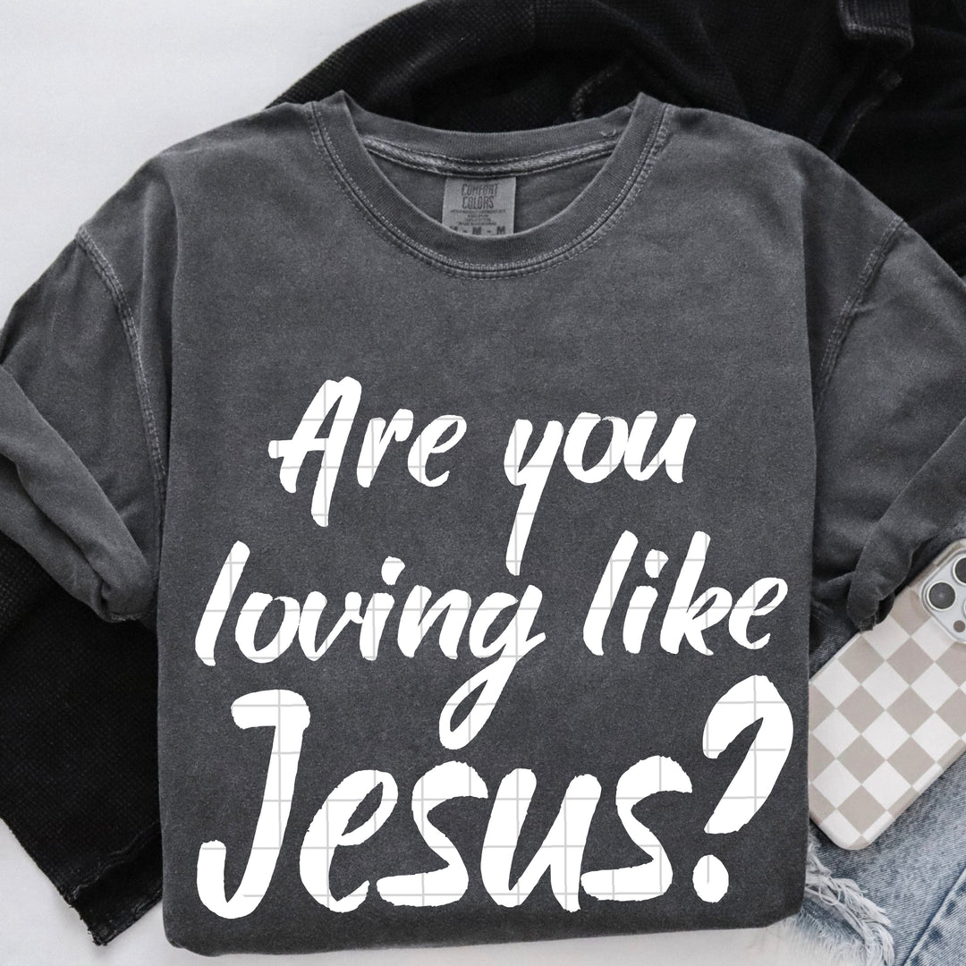 Are you Loving like Jesus?