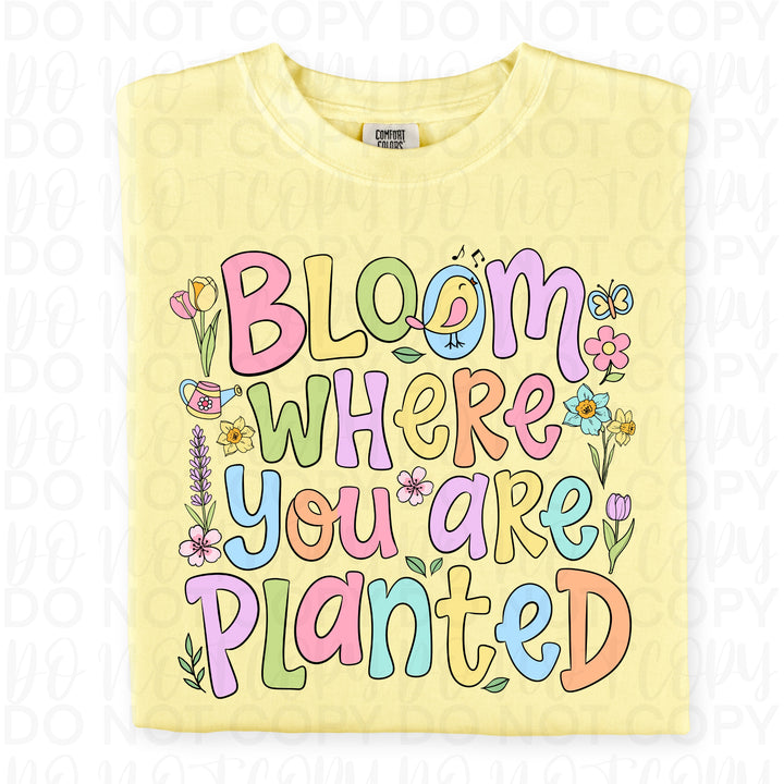 Bloom where you are Planted