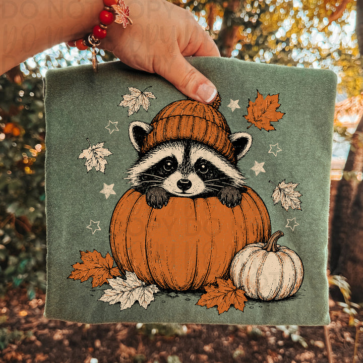 Fall Pumpkin Raccoon