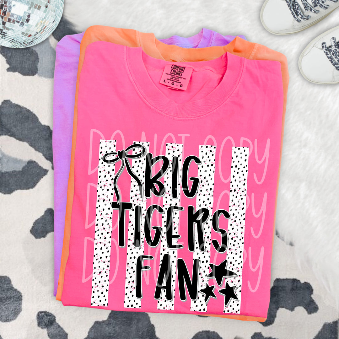 Big Tigers Fan