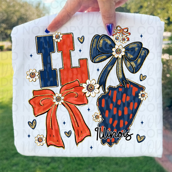 Illinois Collage