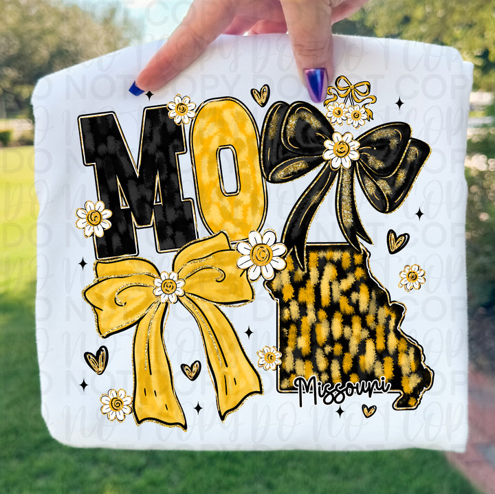 Missouri Collage