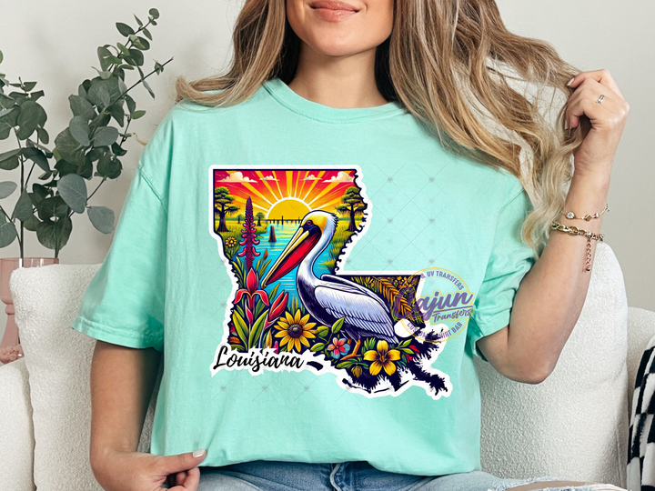 Louisiana Pelican