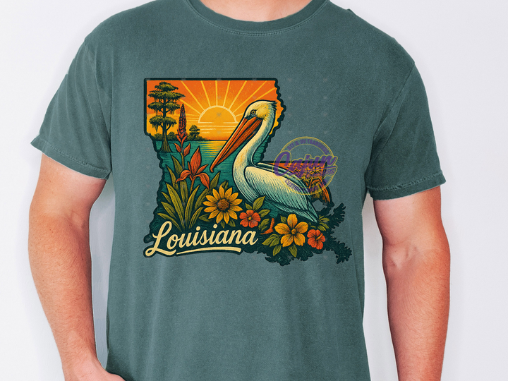 Louisiana Pelican