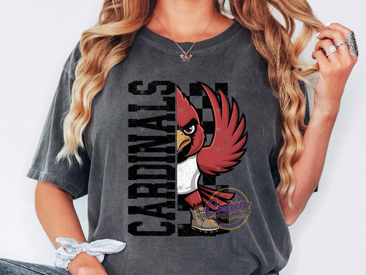 Cardinals Football Mascot