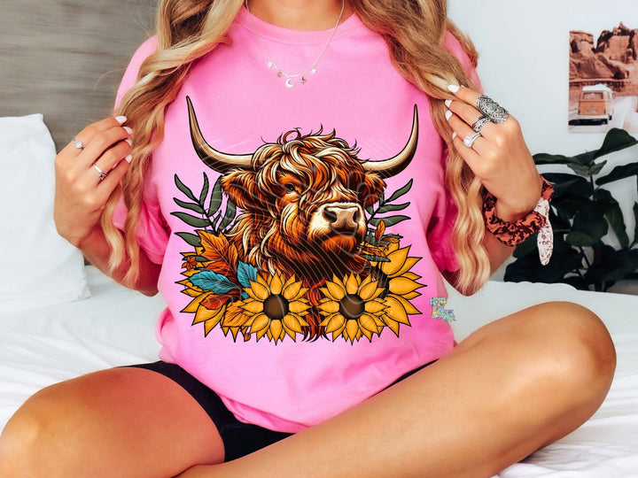 Highland Cow