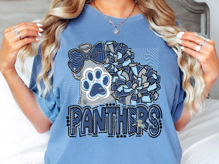 Panthers Cheer
