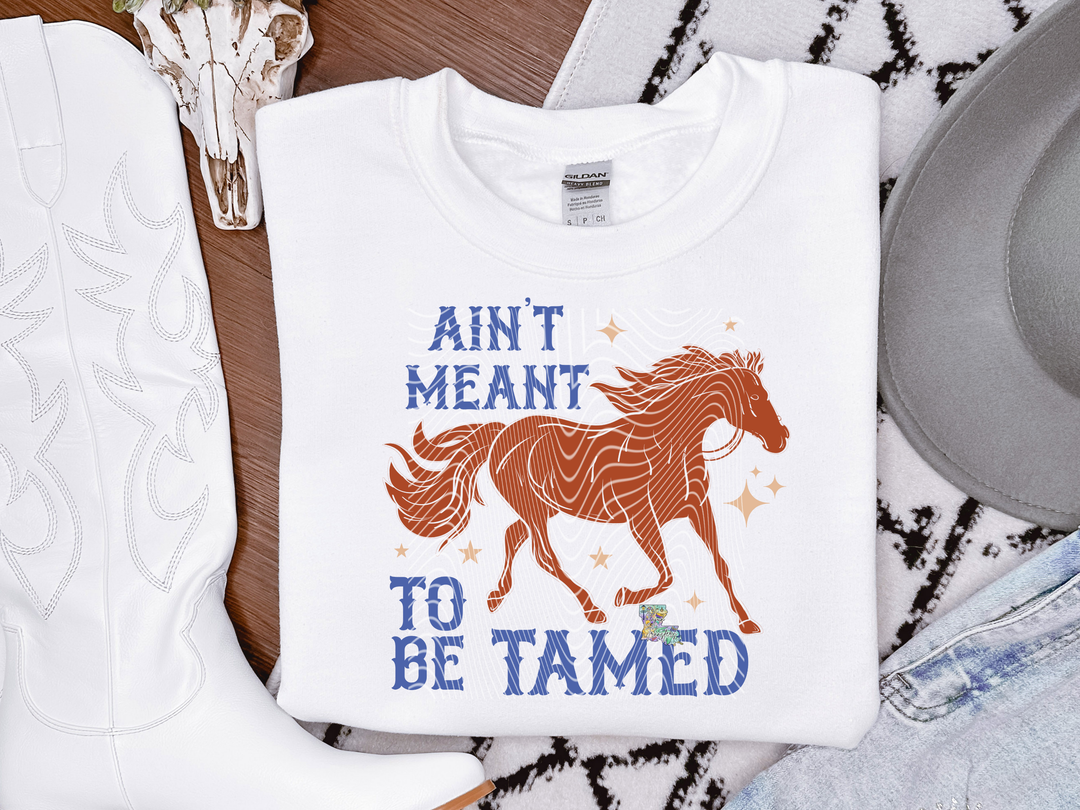 Ain't Meant to be tamed