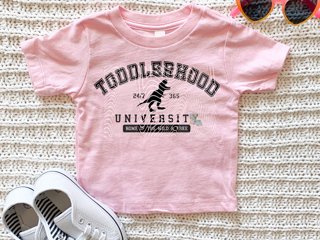 Toddlerhood