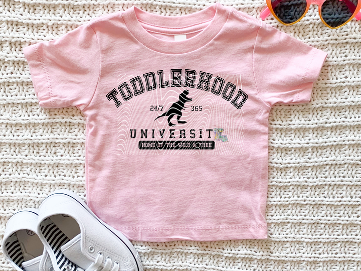 Toddlerhood
