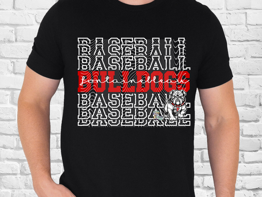 Fontainebleau Baseball