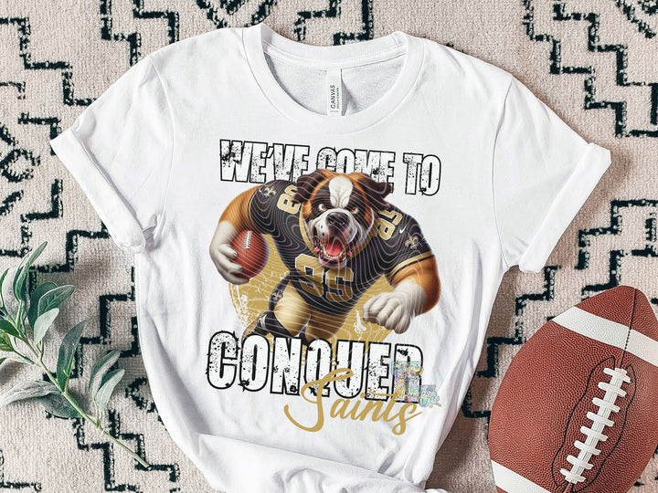 We've Come To Conquer
