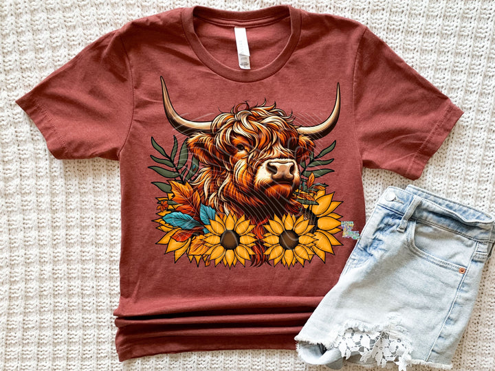 Highland Cow
