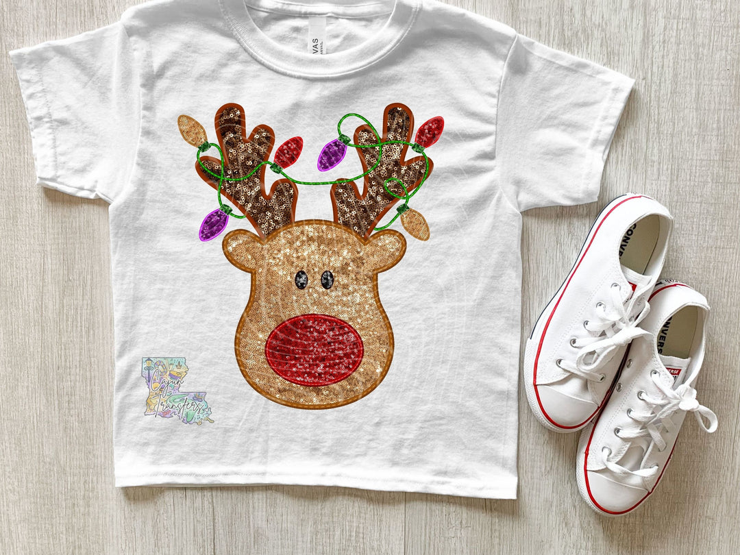 Reindeer With Lights