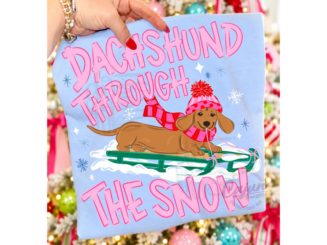 Dachshund through the Snow