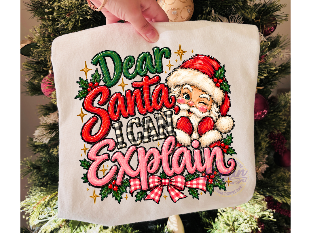 Dear Santa I Can Explain