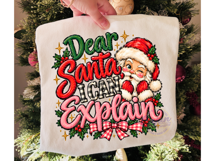Dear Santa I Can Explain