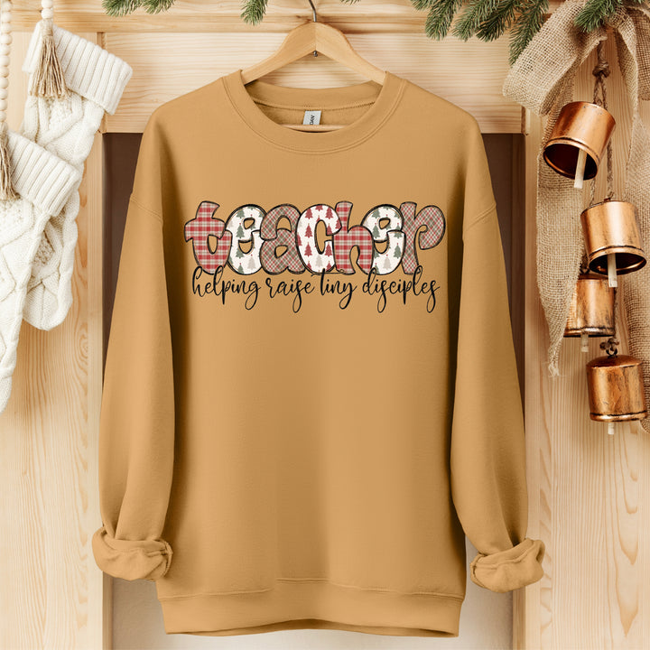 Helping Riase Tiny Disciples-Teacher