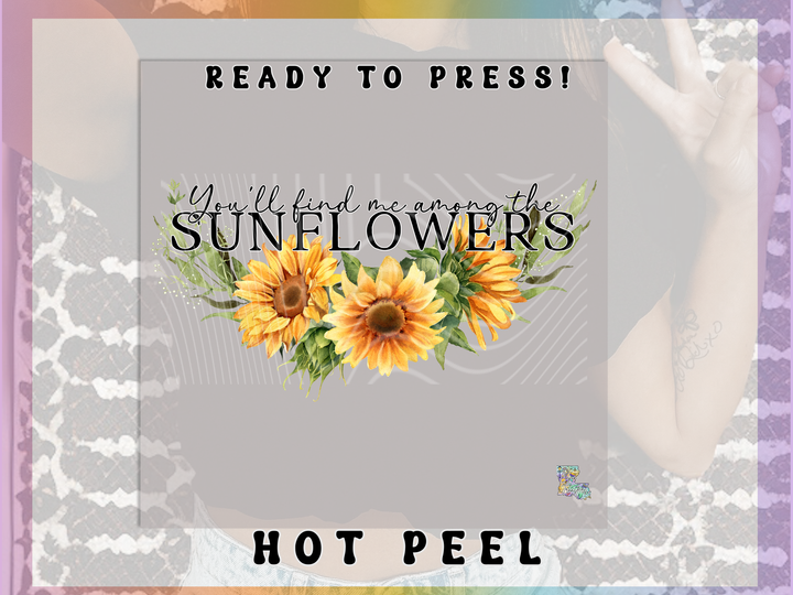 Among the Sunflowers