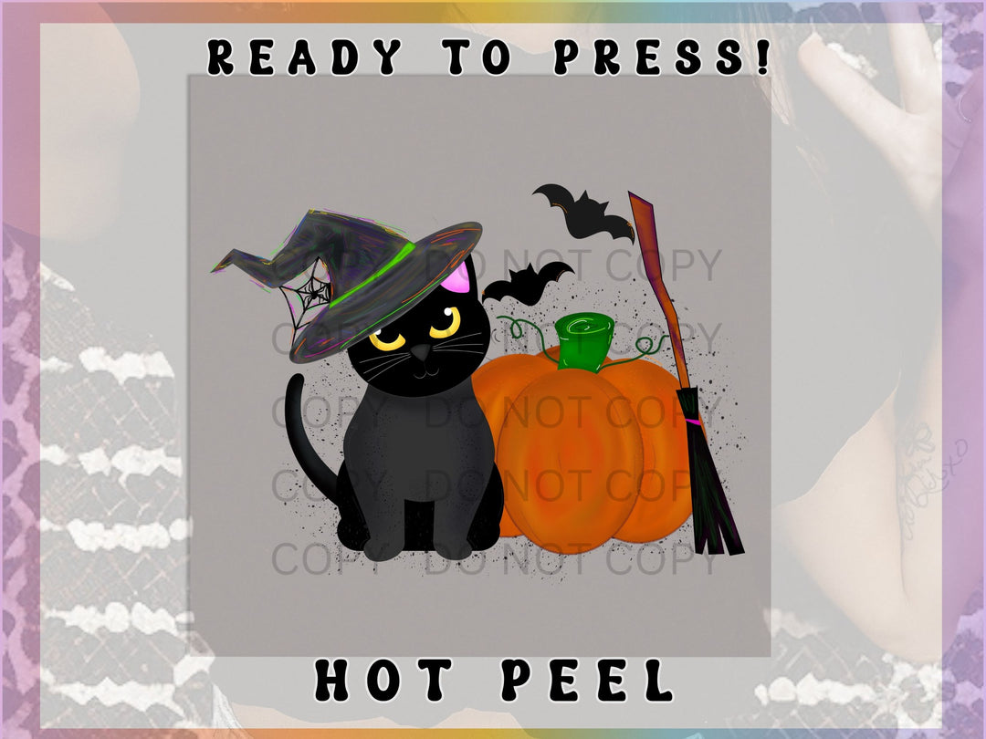 Witch Cat Graphic