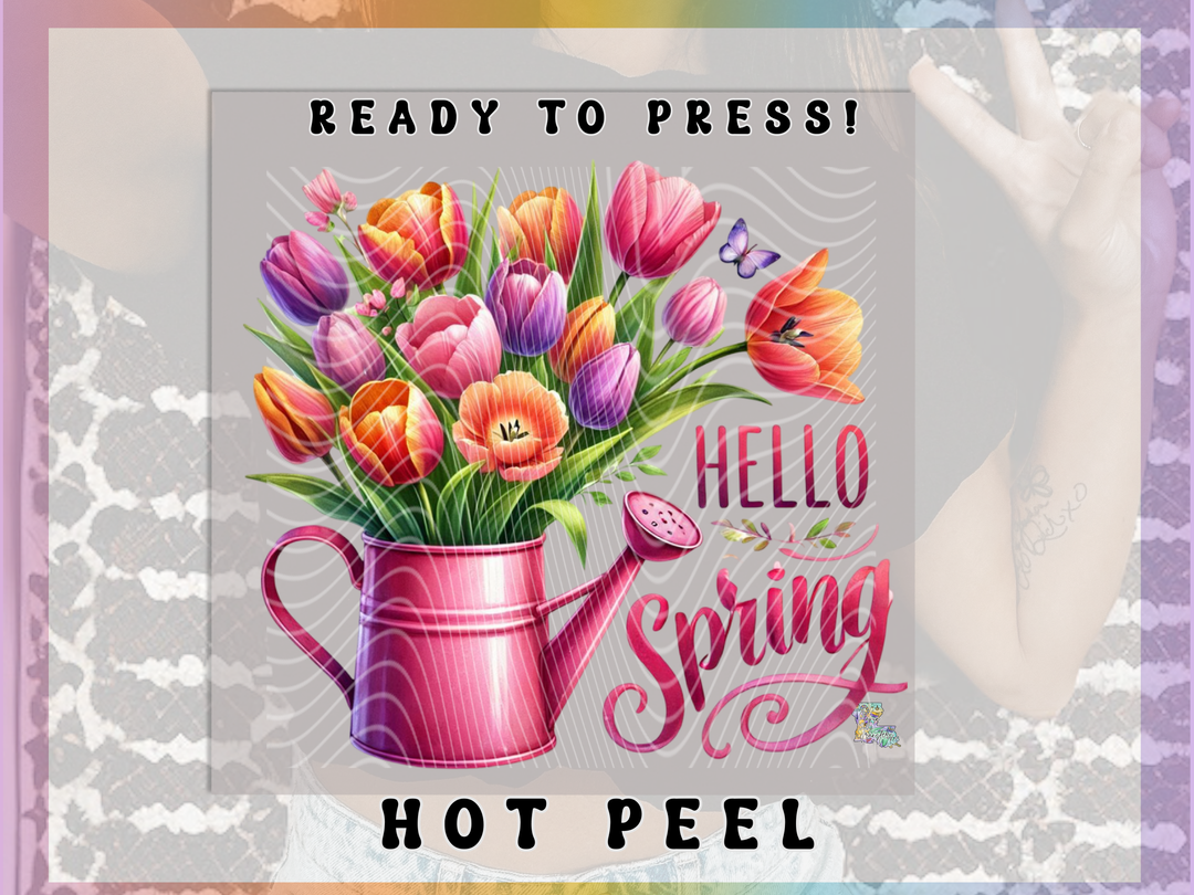 Hello Spring Water Buckets