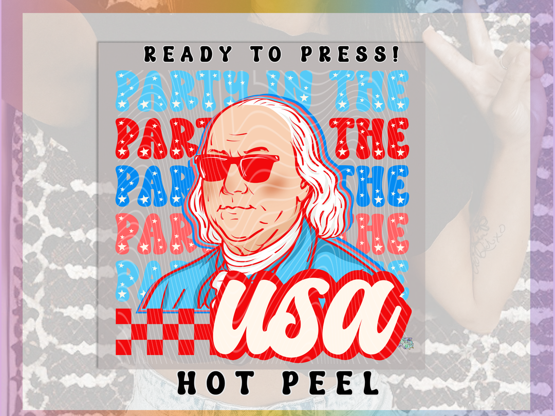 Party in the USA