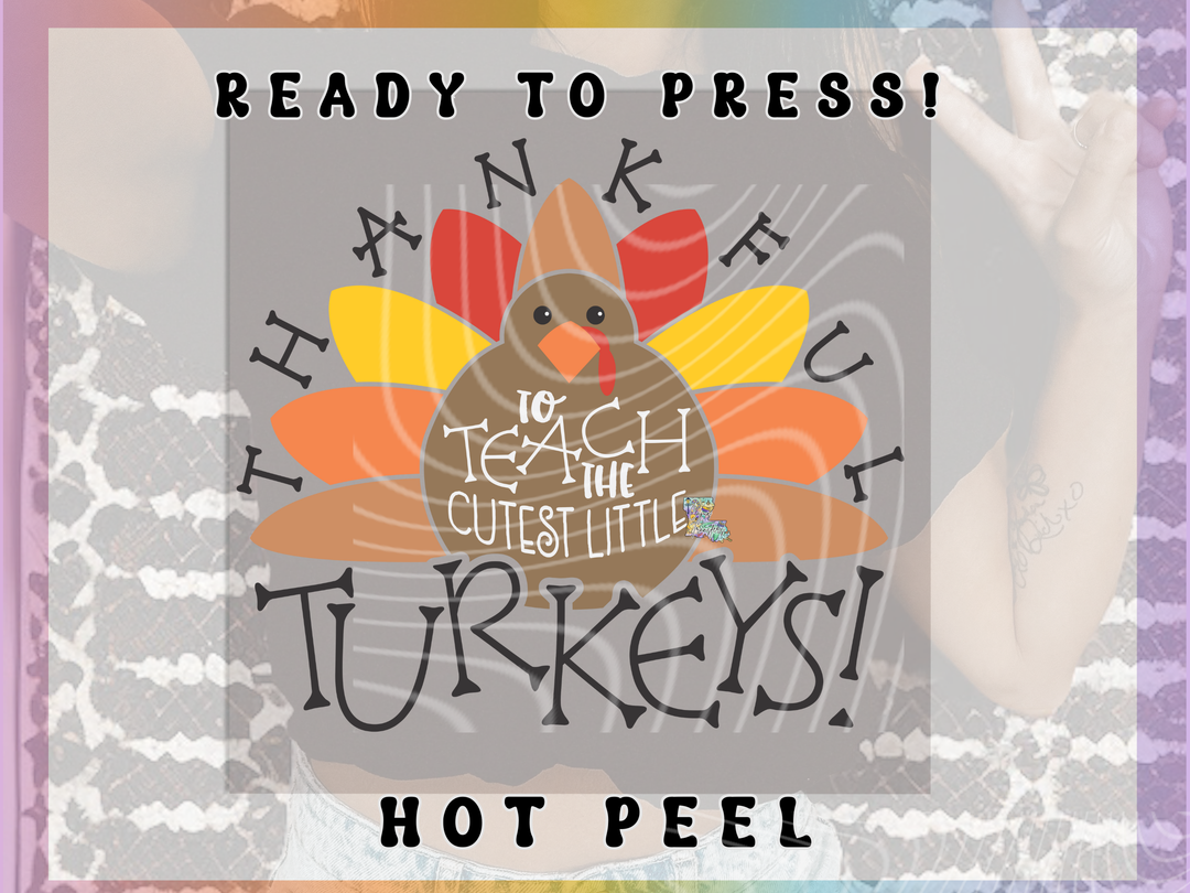 Thankful to Teach Little Turkeys