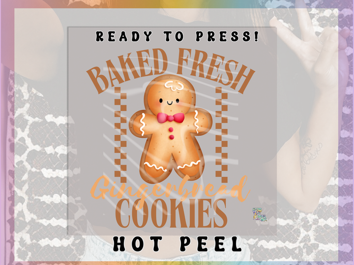 Gingerbread Cookies