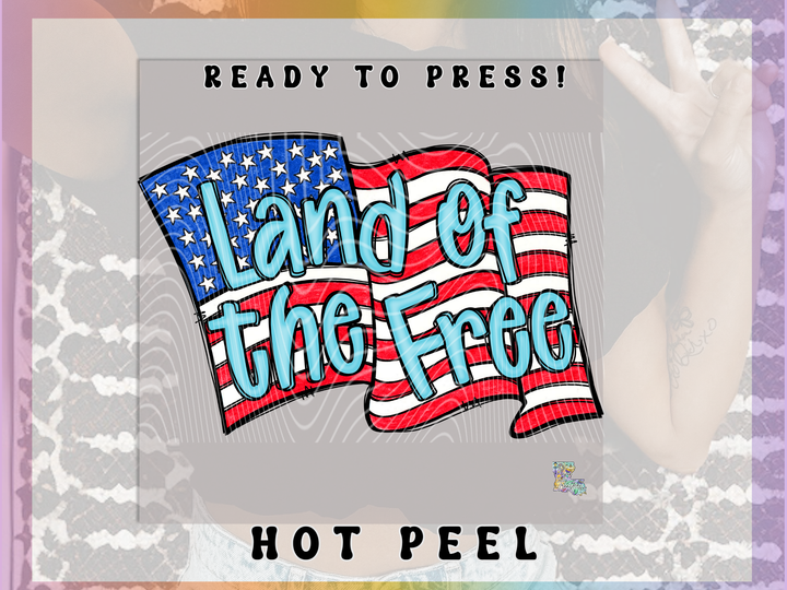 Land of the Free Flag