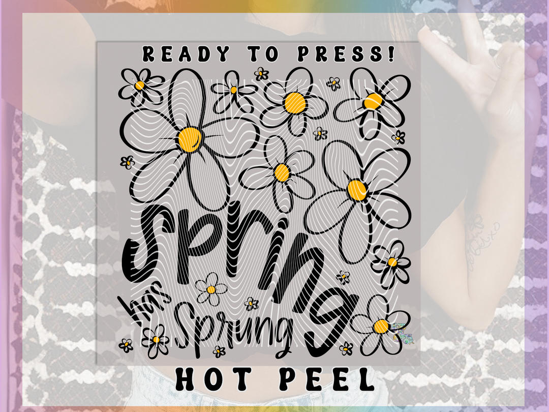 Spring